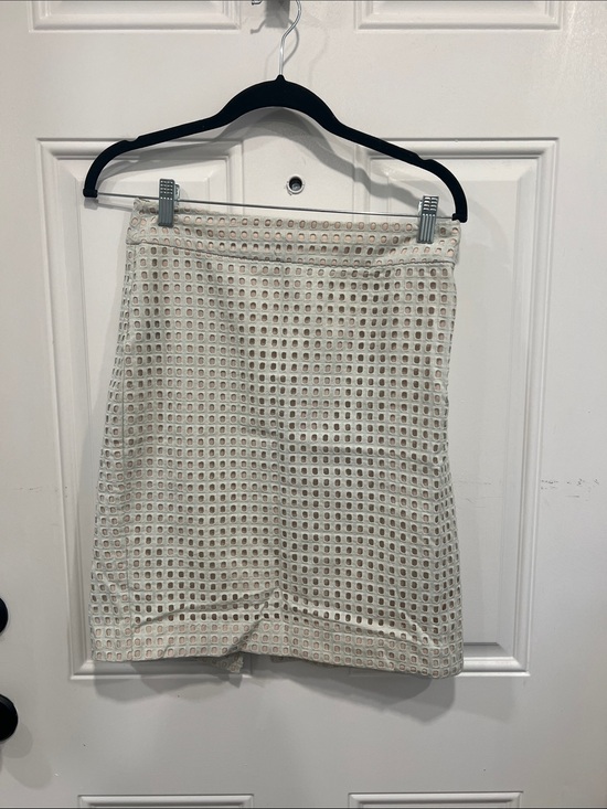 Ann Taylor Dresses & Skirts - Ann Taylor Light Green Eyelet Pencil Skirt